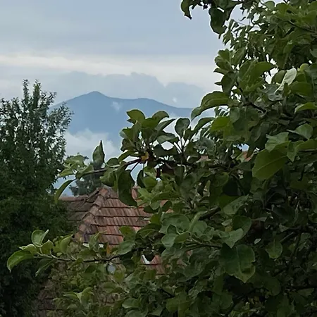 Drevenica Demänka
